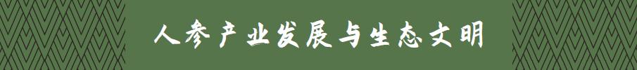 本草知识人参,本草中国视频感悟