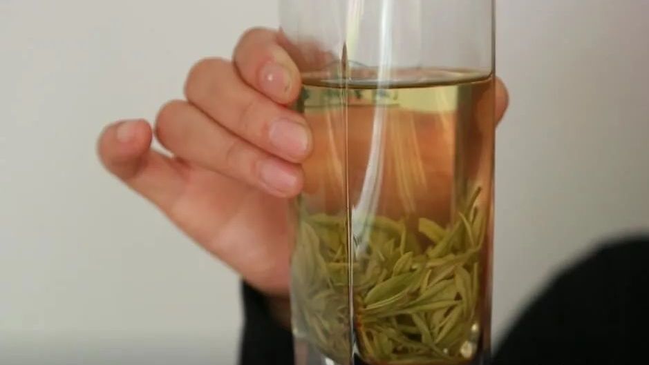 绿茶圈“C位出道”的明星选手！天目湖白茶好在哪里？