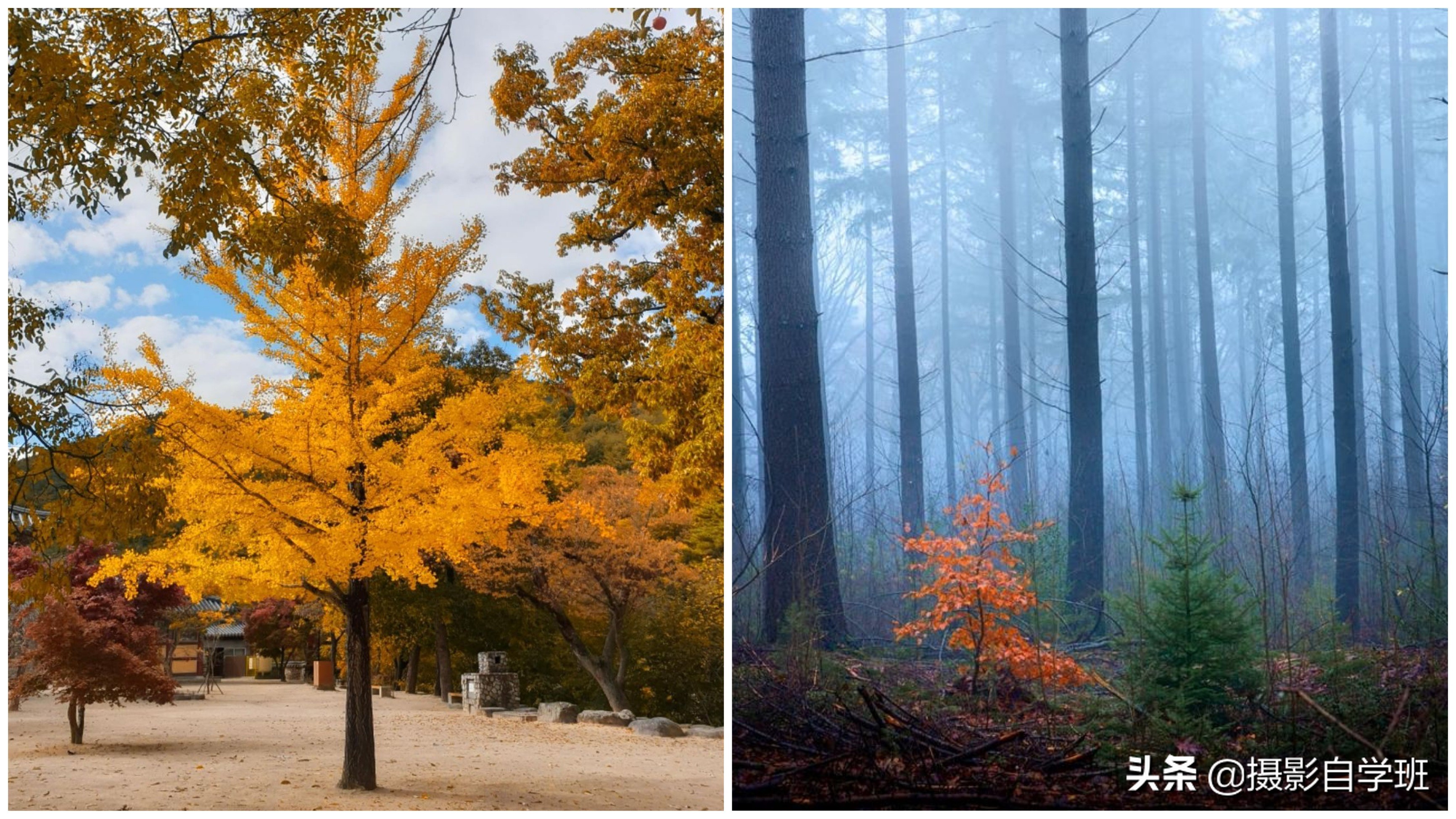 拍风光的12个摄影技巧,从零开始教你学摄影拍摄风光