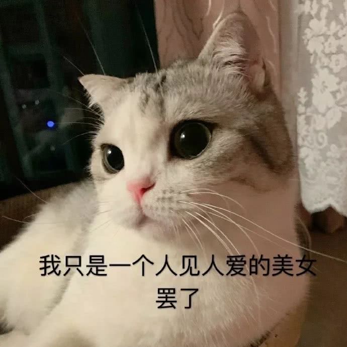 月瘦20斤最有效方法和食谱,一周瘦身食谱49天瘦30斤