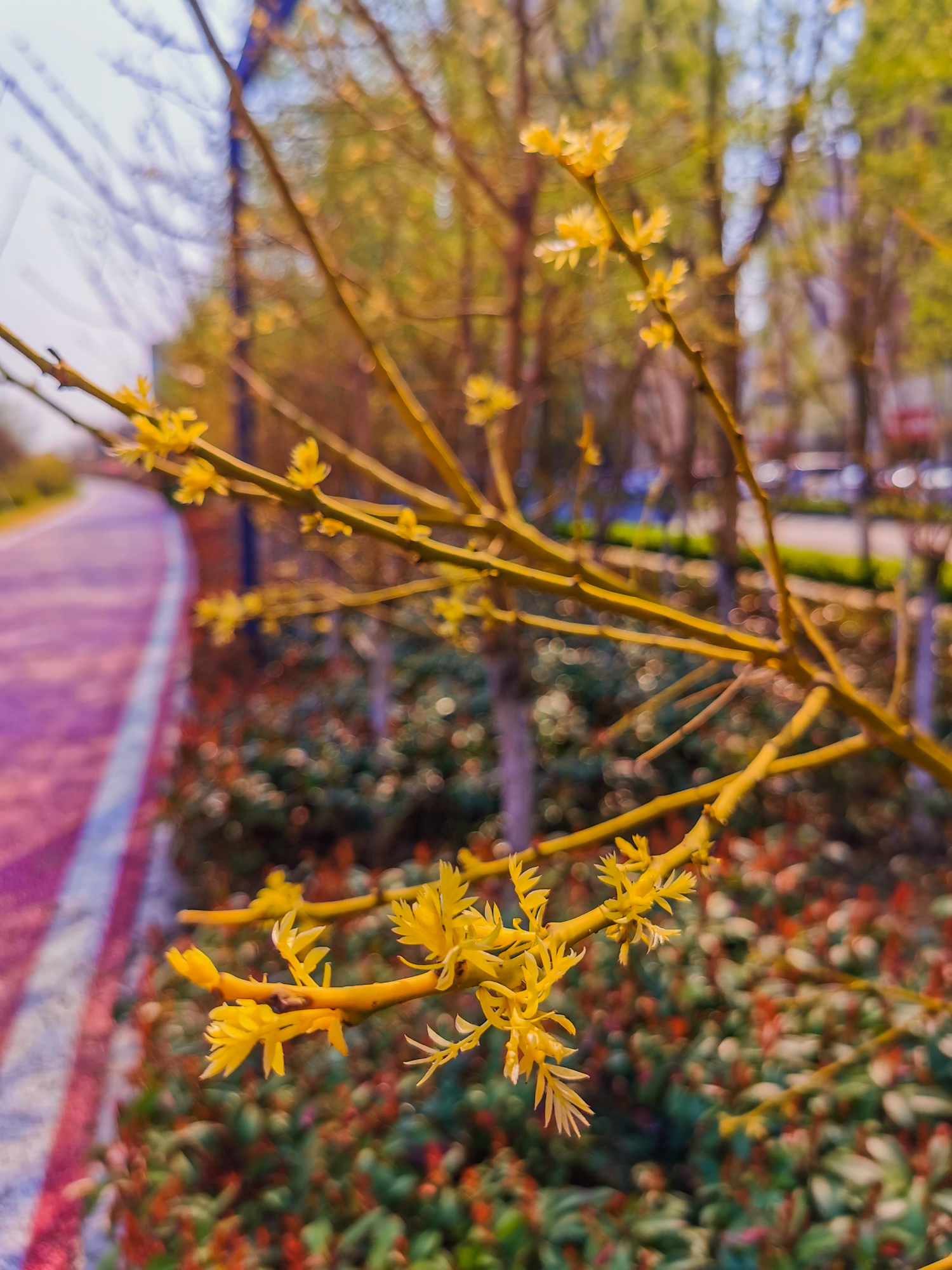 鍗庝负p30pro瀵规瘮鑻规灉12pro,鍗庝负p30pro瀵规瘮iphonese2