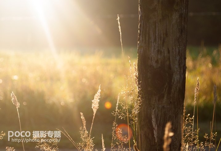 怎么驾驭眩光,有什么办法防眩光