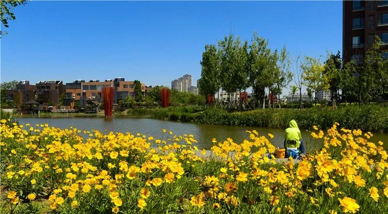 东丽区有发展吗,天津东丽区为什么没发展