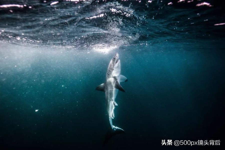 摄影师500px技术,蓝色500px摄影师