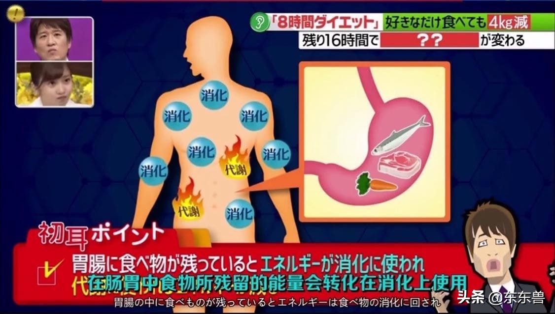 最火的五日减肥法靠不靠谱,no.16