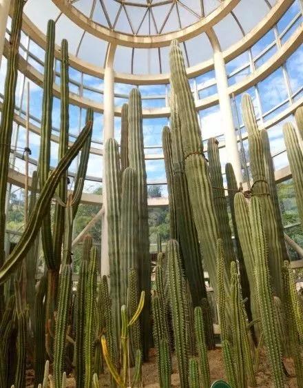 昆明最火网红打卡景点免费的,昆明最近的值得打卡的景点