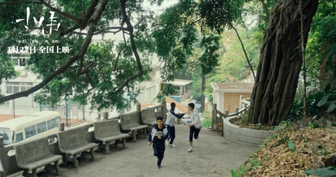 小伟生活视频大全,小伟记录生活真实瞬间