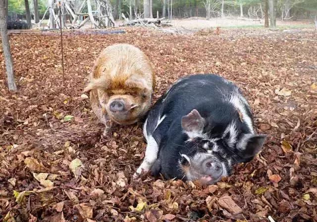 当女神变老,当女神变老了