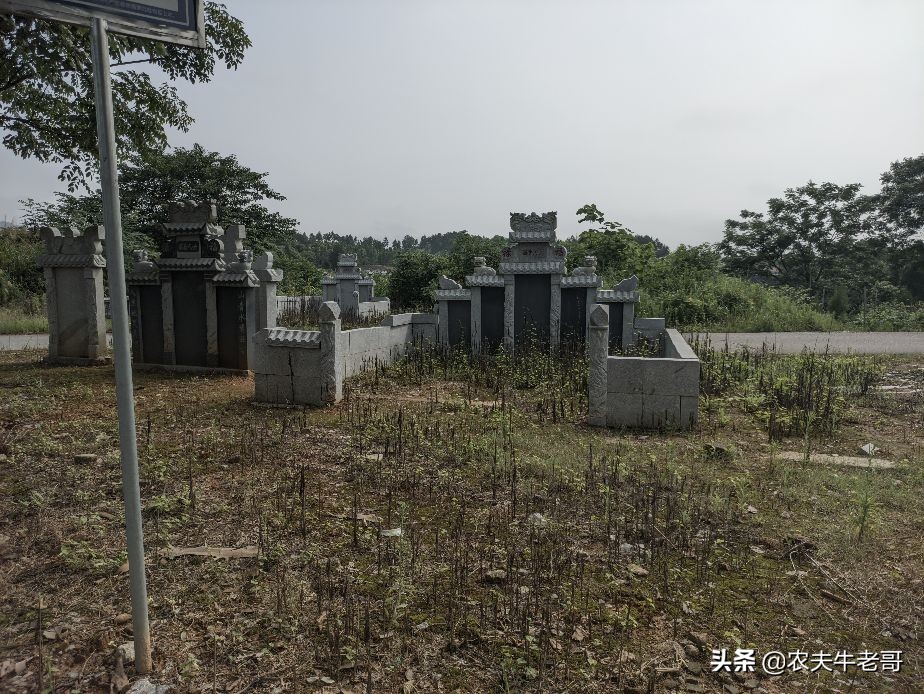 男性结扎了妻子还会意外怀孕吗,老婆结扎后意外怀孕能要吗