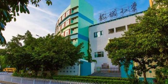 龙岗区龙城小学招生简章,深圳龙城街道公办小学排名