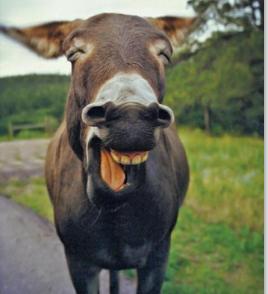 录书的时候怎样避免口水音,有声书录制怎样避免口水音