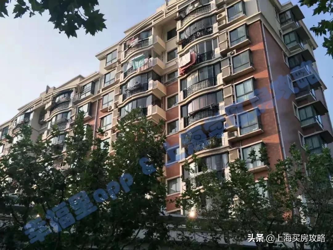 全市稀缺的优质公立双学区!被低估的北区王者!闸北实验小学测评