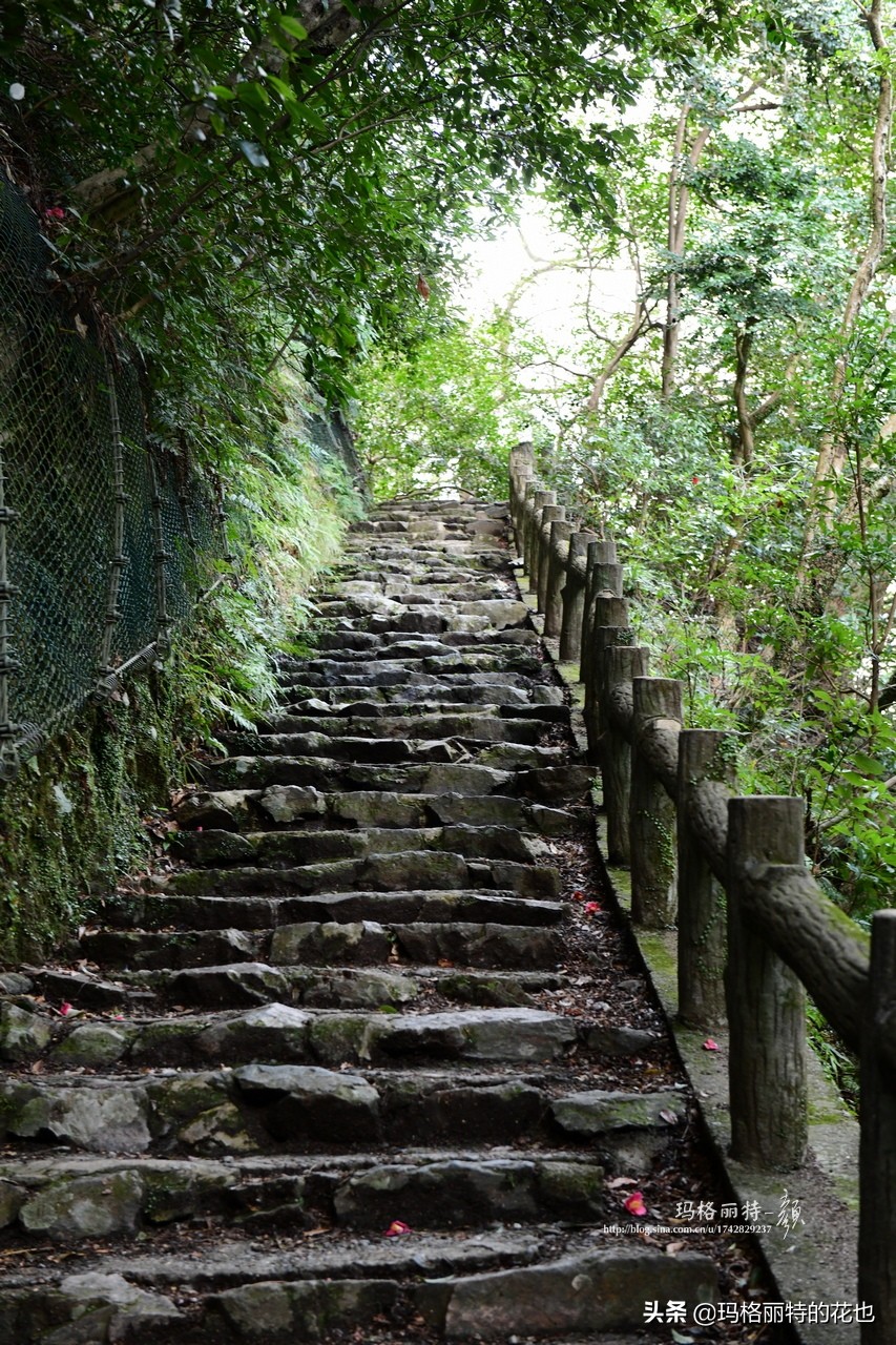 萁田森林公园和大阪的省钱之旅|行摄日本