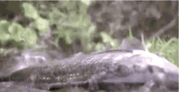 16个让你质疑的科学常识，太阳表面温度不高？