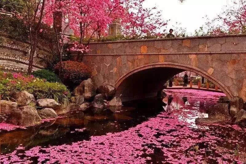 喝什么茶养阳气,春天阳气生发适合喝的茶