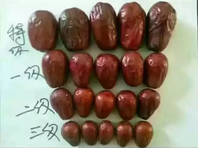 若羌红枣和和田大枣区别,和田大枣新疆正宗一级红枣