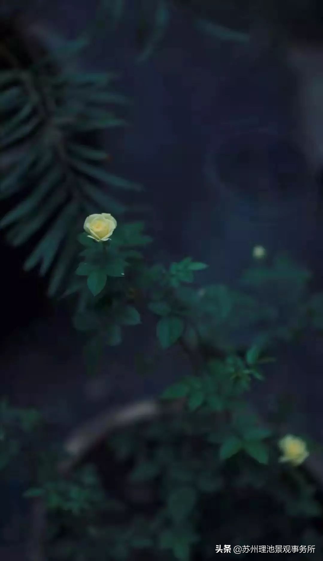 灏忕獥骞借缁忓吀鍙ュ瓙,灏忕獥骞借鍏ㄦ枃鍘熸枃