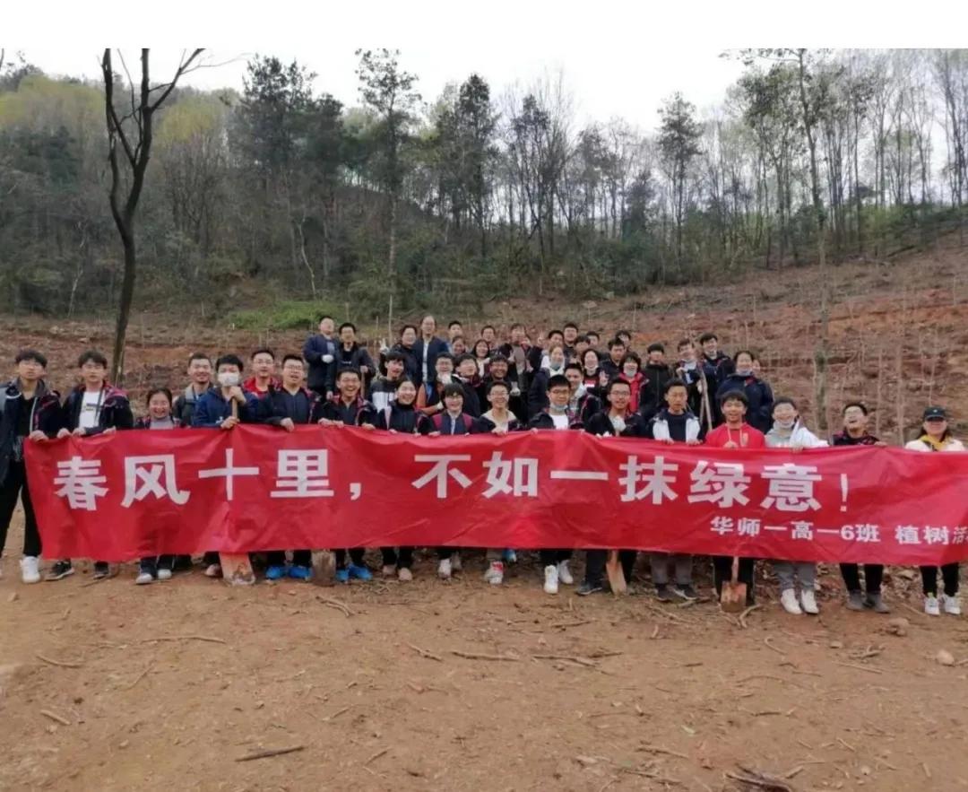 武汉植树高峰期,植树浪潮