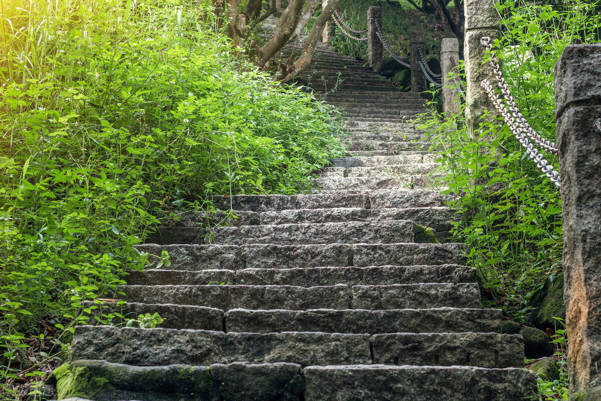 当你老了不能自理了,老人能自理却像废物一样让人伺候