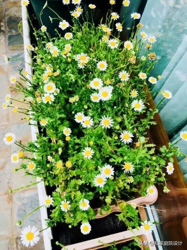 庭院景观设计——这样的庭院景观，生活可以过成诗一般！