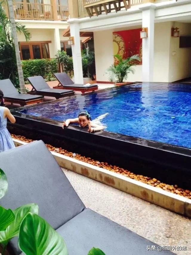 泰北玫瑰的英文,泰北玫瑰图片