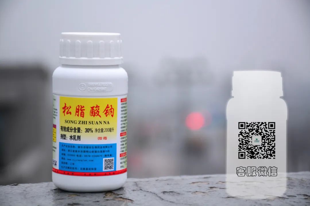 草履蚧预防季节,防窥膜看久了眼花