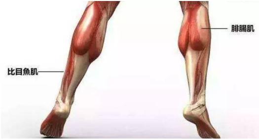 跑步机怎么防小腿跑粗呢,跑步机上快走怎样不让小腿变粗