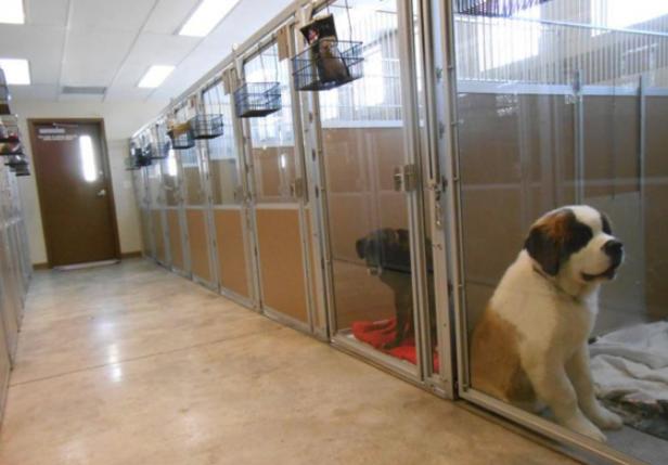 冷门赚钱项目有哪些,当今做哪些生意最赚钱项目