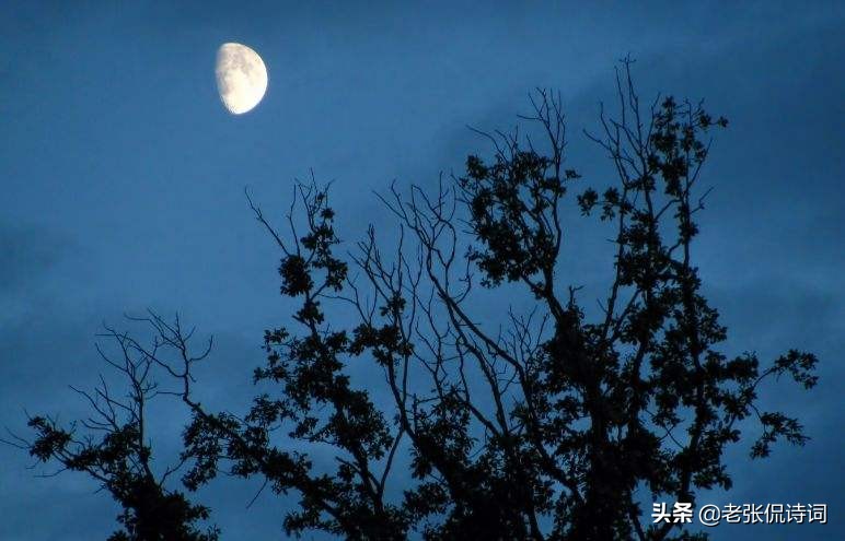 纳兰性德经典诗词描写夜晚,纳兰性德带月的诗句