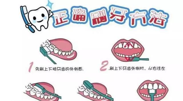 宝宝长牙了就要每天早晚刷牙啦,宝宝长牙不爱吃饭怎么整