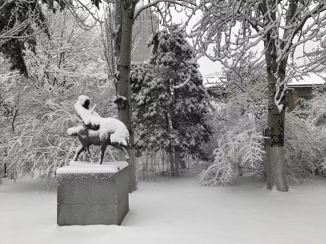 辽宁大学和鲁迅美术学院,辽宁省鲁迅美术学院是985吗