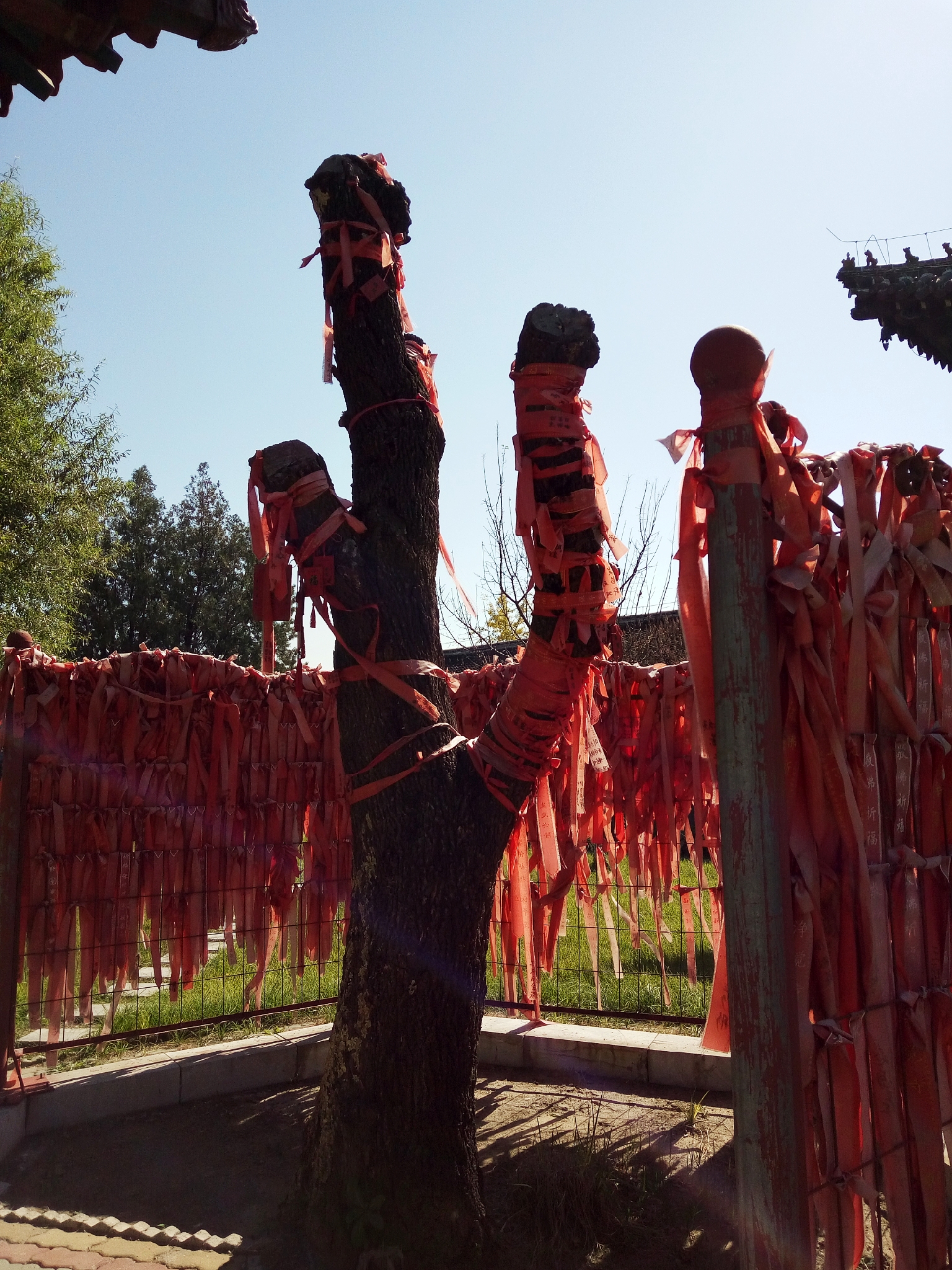 玉田净觉寺景点,唐山净觉寺三大奇观