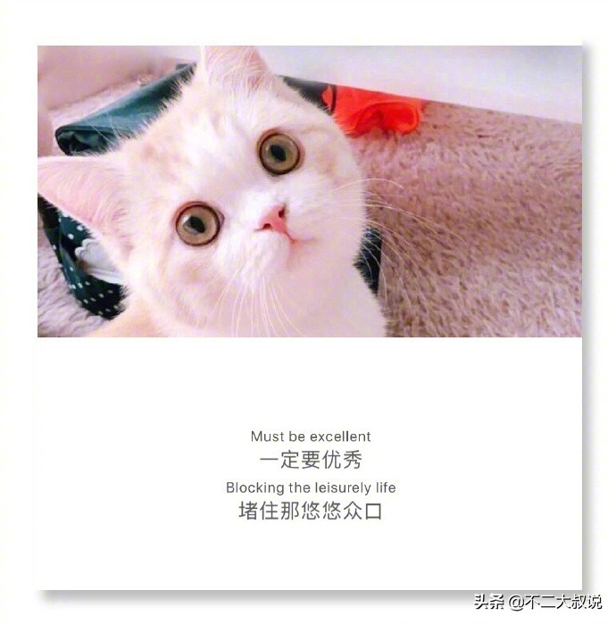 英汉互译的深情句子,中英文唯美爱情句子