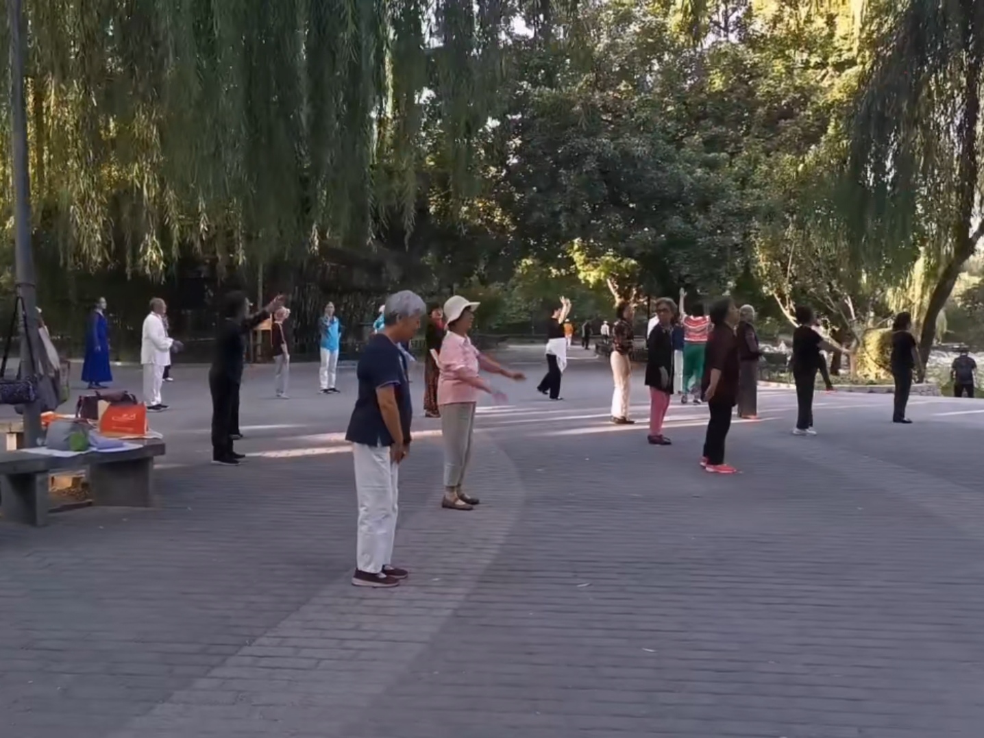 紫竹院公园湖边漫步随拍荷花美景,紫竹院公园荷花