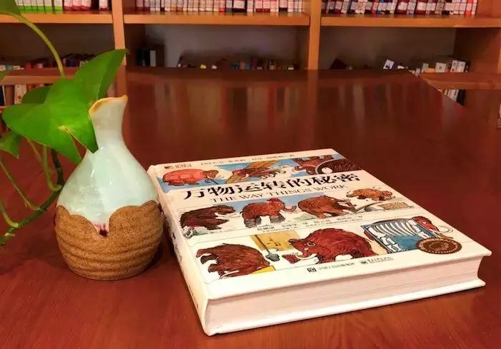 被封神的DK儿童科普书籍，到底哪些值得读？建议家长入手前看这篇