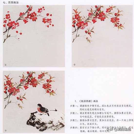 怎样画国画桃花的绘画技法,国画写意桃花技法视频