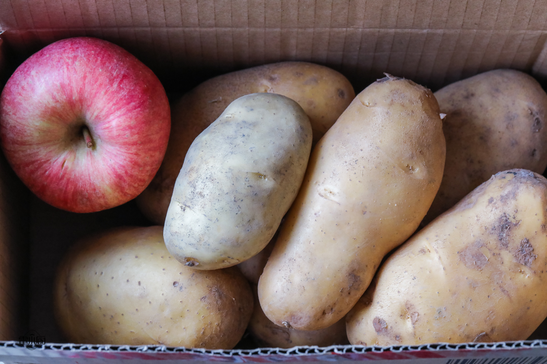 超市土豆如何保存不发芽不变绿,土豆保存不发芽最简单的方法
