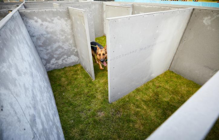 汪汪汪~宁波首家宠物主题乐园登陆江北，铲屎官们走起