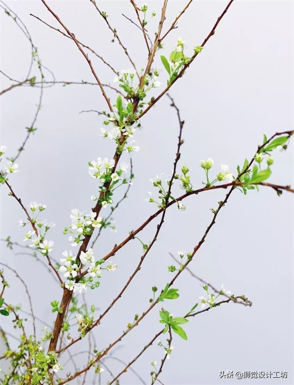 一张照片就能做出一幅海报,随手一拍怎么拍成大片