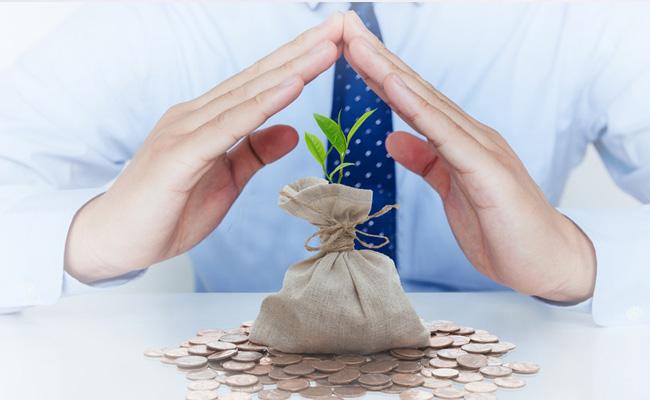 金玺人生少儿版分红版,金玺人生靠谱吗