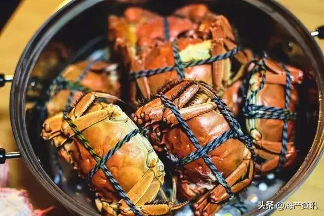 哪里大闸蟹可以媲美阳澄湖大闸蟹,阳澄湖大闸蟹和精品大闸蟹的区别