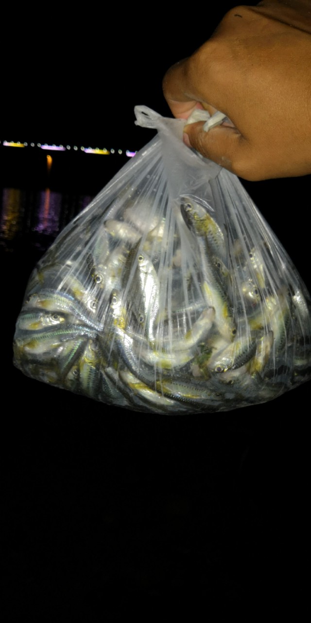 钓友入门竿子,钓鱼竿子新手野钓