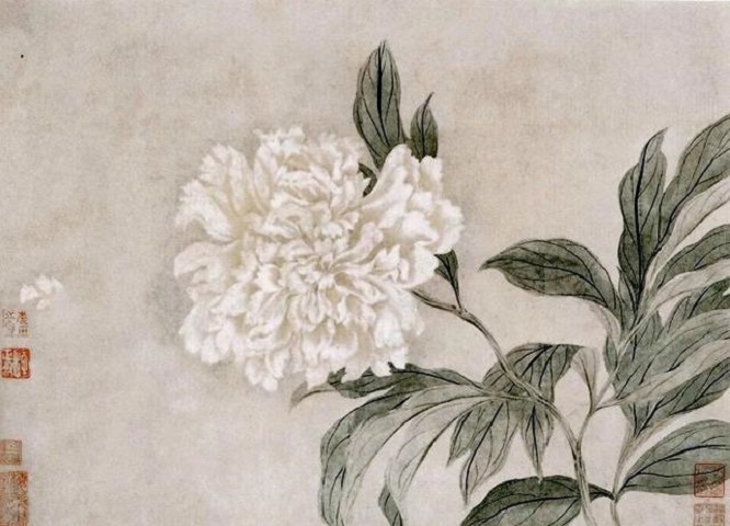 花丨唐朝独特的社会属性,唐人爱到骨子里的那抹色彩