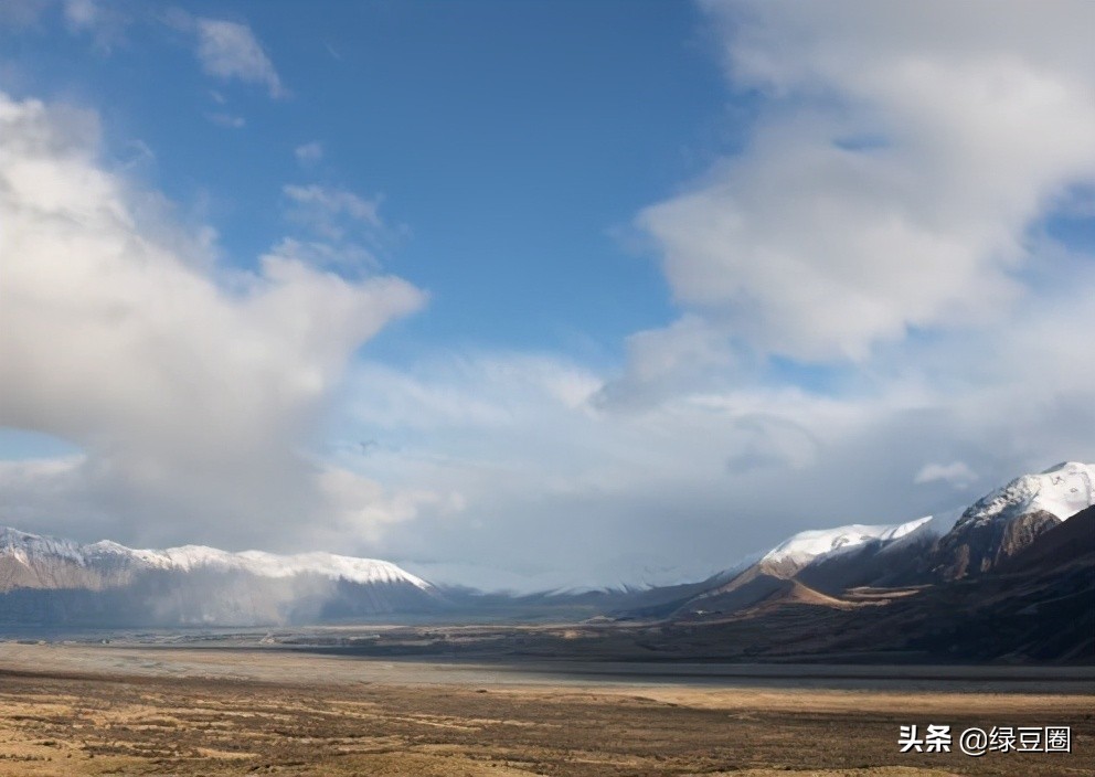 什么是以租代征合法吗,农田以租代征合法吗