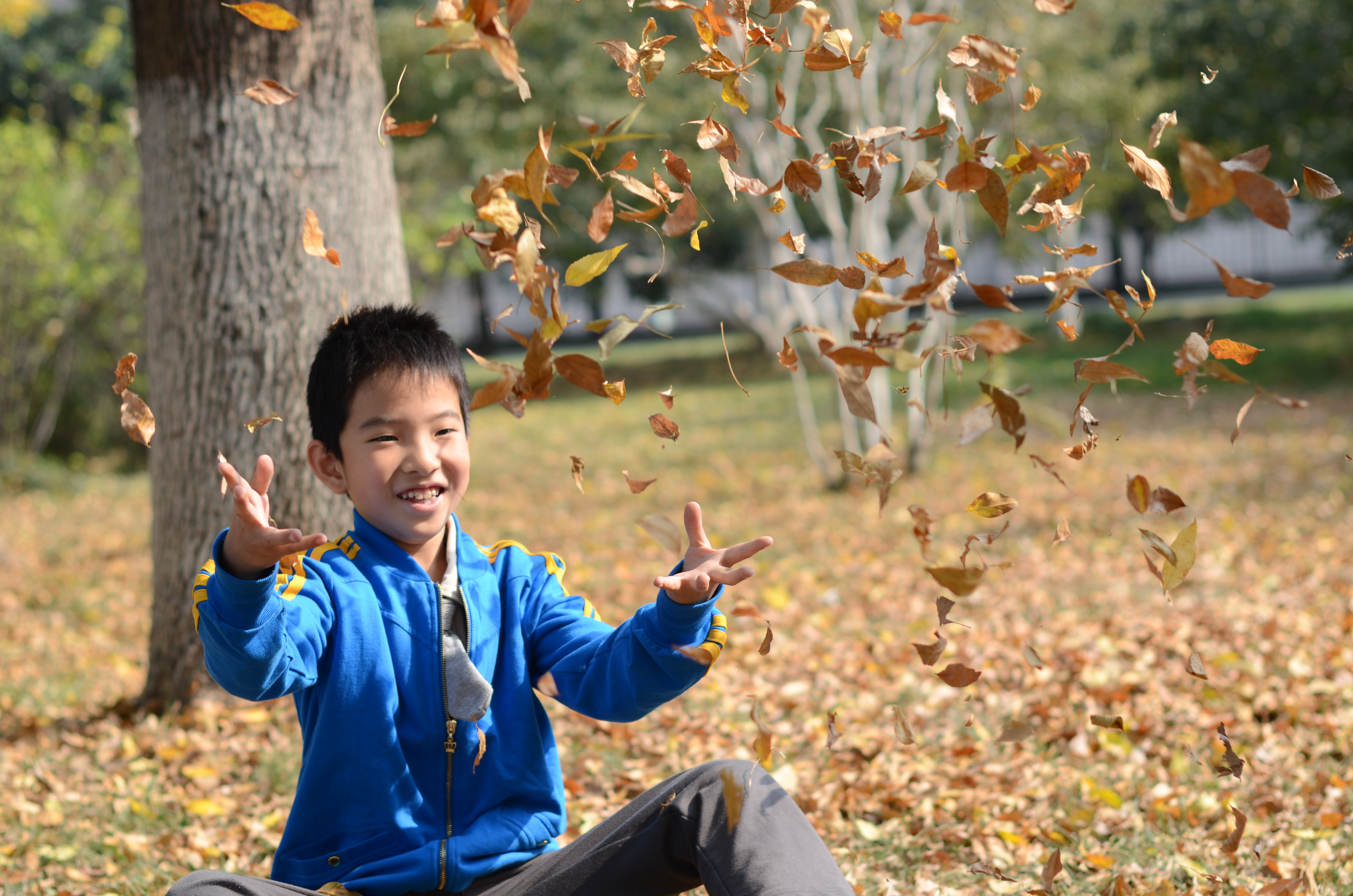 南郊美美,南郊宾馆的风景