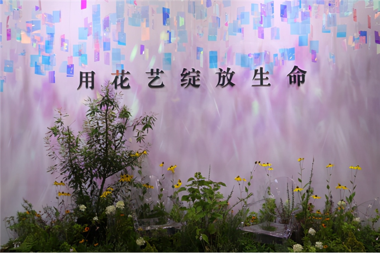 让人惊艳的花展,花展上看到的美到窒息