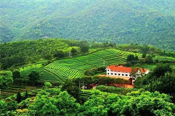 梅州深圳高铁1.5小时,深圳梅州高铁票价