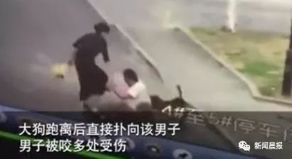 与狗狗玩耍时不小心被狗狗刮伤,养狗不拴绳一家三口遭恶犬咬伤