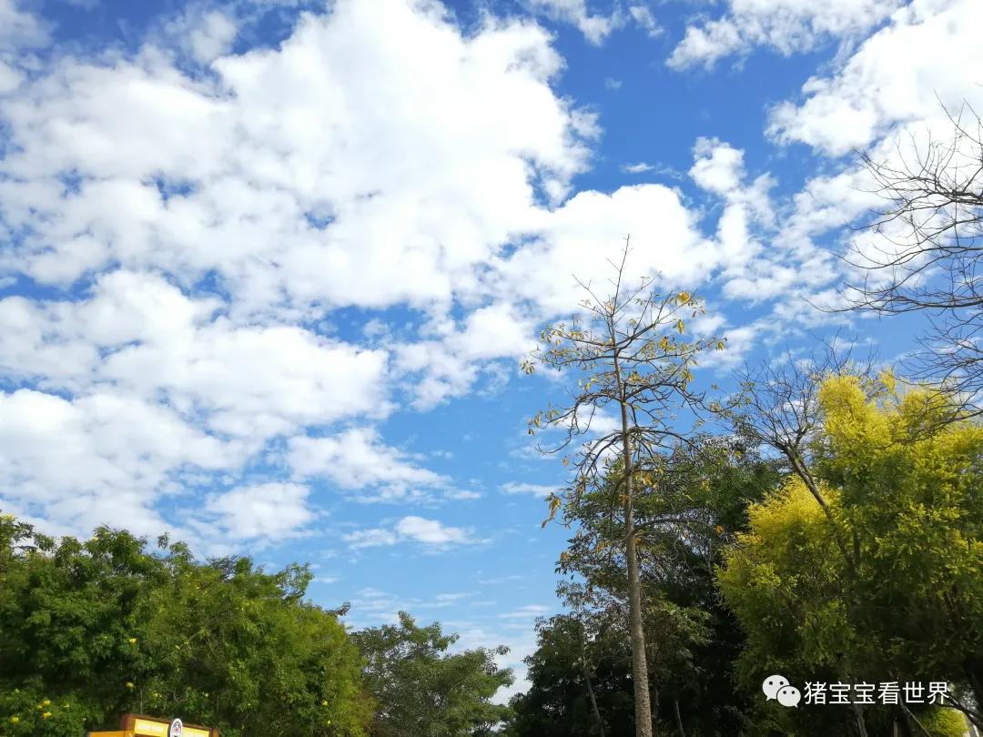 偌大的城市我的栖身之处在何处,偌大的城市容不下一个漂泊的灵魂