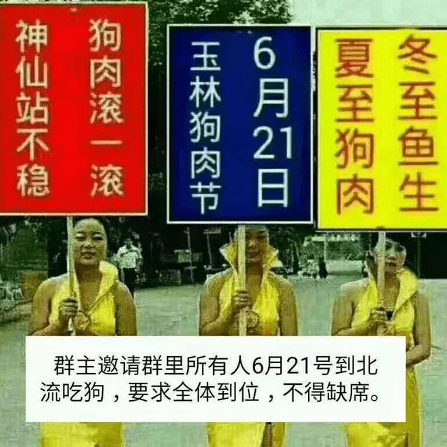 预测：20年后人类可与猫狗聊天！桂林狗肉节岂不呼救声一片￼